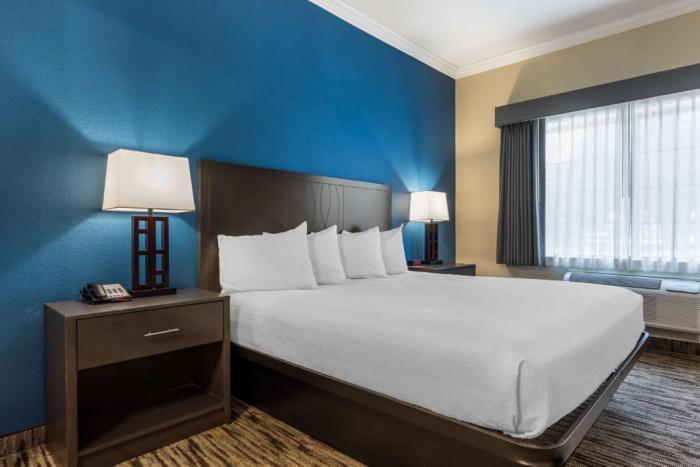 Best Western Dinosaur Valley Inn & Suites Glen Rose Oda fotoğraf
